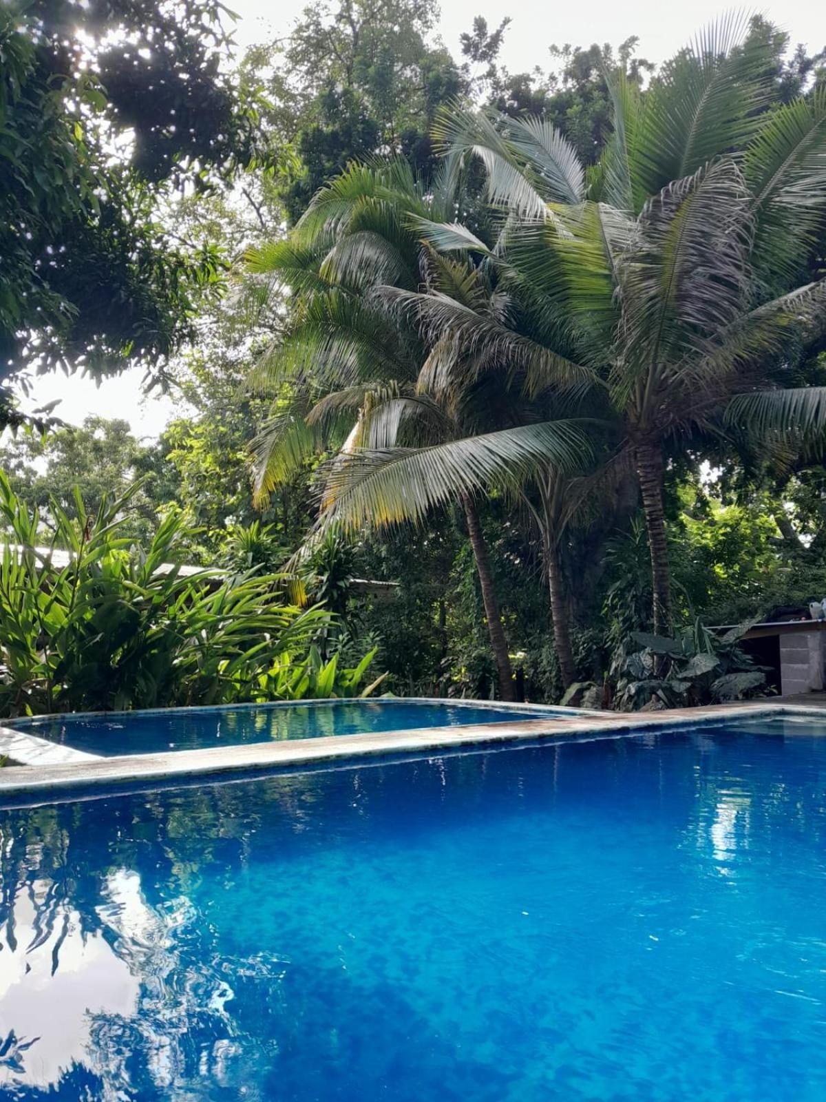 Hammock Plantation Appartement El Zonte Buitenkant foto